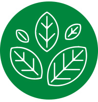 BIO ingedientes naturales