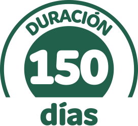 Pulseras de citronela - duración de 150 días | ByePic